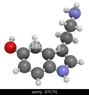 Serotonin neurotransmitter, molecular model. Serotonin is also known as 5-hydroxytryptamine (5-HT). Stock Photo