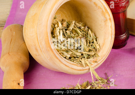 Mortar containing ground echinacea, herbal medicine Stock Photo