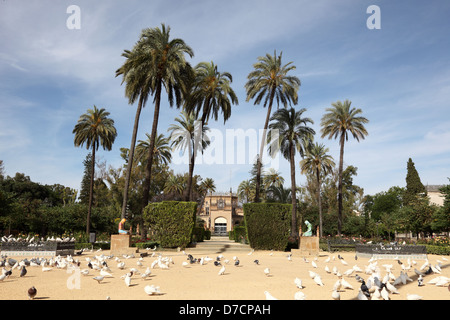 Maria Luisa Park in Seville, Andalusia Spain Stock Photo