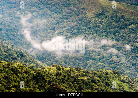 Colombia - rain forest in the mountains of the Sierra Nevada de Santa Marta, a northern part in the magdalena area Stock Photo