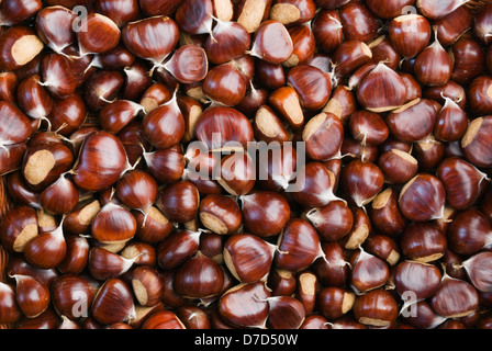 Many chestnut seeds Stock Photo