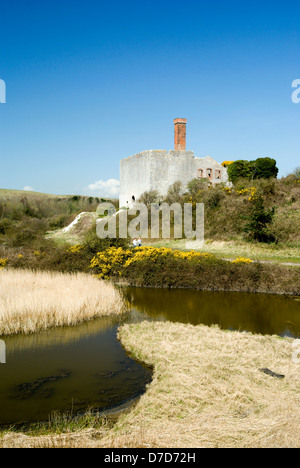 Aberthaw Saltmarsh Nature Reserve, Vale of Glamorgan, South Wales, UK ...