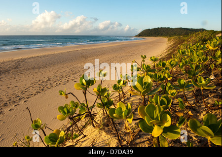 Beach, Ponta Malongane, Mozambique Stock Photo