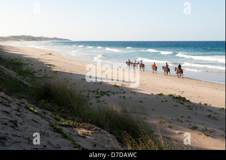 horse riding on the beach, Tofo, Mozambique Stock Photo