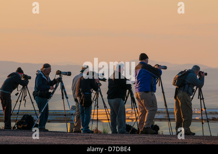 Photography workshop participants on Steptoe Butte at sunrise, Palouse wheat country, Washington. Stock Photo