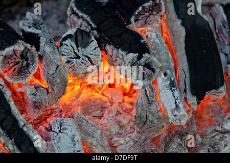 Warm Log Fire Stock Photo