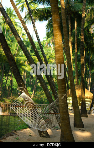 hammock under coconut palm trees in Goa Stock Photo