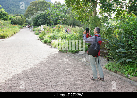 Man taking photo with iPad he beautiful Kirstenbosch Gardens in Cape Town, South Africa Stock Photo