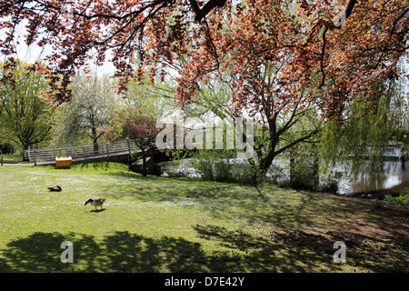 The Thames Riverside at Taggs Island, Hampton, Middlesex, England, UK. Stock Photo