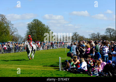 Badminton Horse Trials, UK. 5th May, 2013.  Paul Tapner (AUS) on Kilronan in action during the Cross Country Test of the Mitsubishi Motors Badminton Horse Trials 2013 in the grounds of Badminton House. Stock Photo
