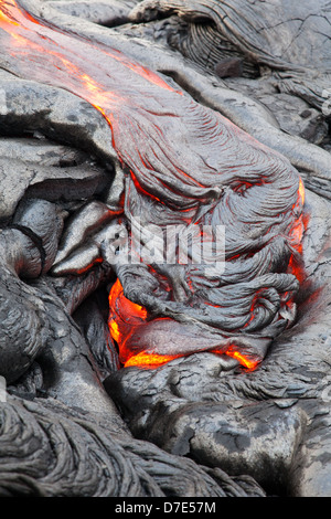 Lava flowing through the Royal Gardens subdivision on the Big Island of Hawaii. Stock Photo