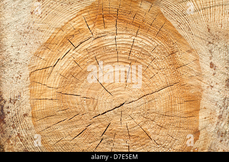 Background of split wood. Close up wood texture Stock Photo
