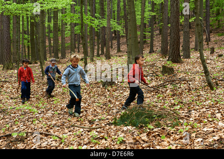 Children exploring in forest - boys playing outdoors Stock Photo