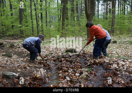 Children exploring in forest - boys playing outdoors Stock Photo
