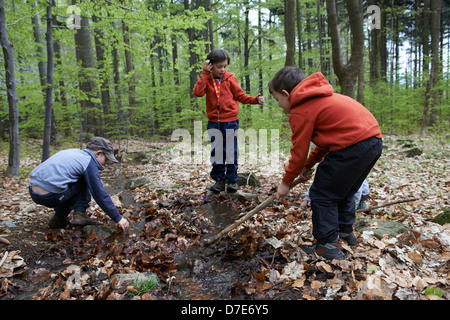 Children exploring in forest - boys playing outdoors Stock Photo