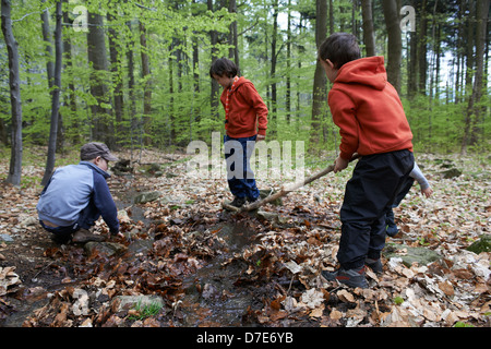 Children exploring in forest - boys playing outdoors Stock Photo