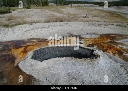 Ear Spring in the Upper Geyser Basin is named for its shape. It often ...