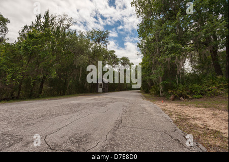 Salt Springs State Park in the Ocala Forest in the State of Florida Stock Photo