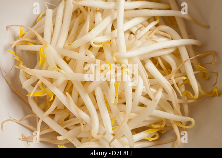 raw mung bean sprouts Stock Photo