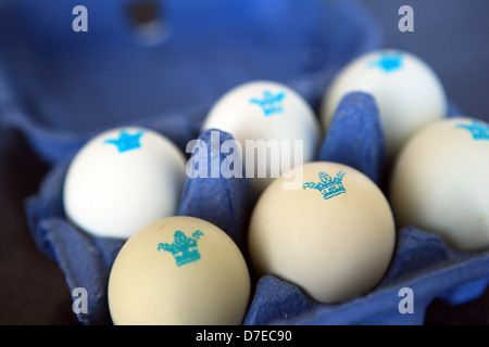 Pastel stamped eggs in a blue egg box Stock Photo