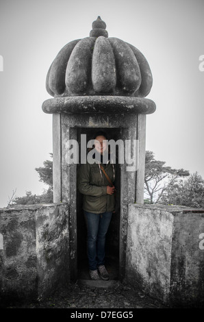 the 'Palácio Nacional da Pena' Stock Photo