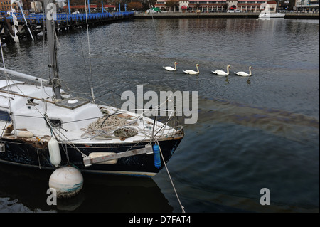 BROOKLYN, NY - NOVEMBER 01: Serious pollution with boat oil at the Sheepsheadbay canal Stock Photo