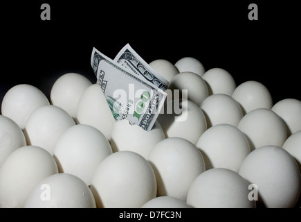Dollar bill on eggs Stock Photo