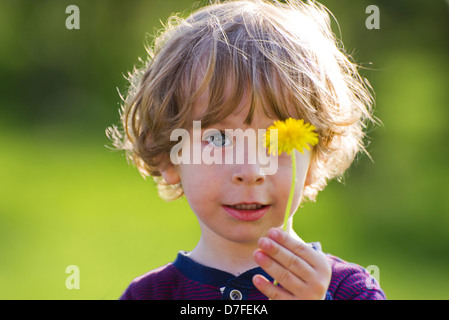Closeup portrait of a cute curled child in the sun holding a single dandelion flower in the hand on bright green background Stock Photo