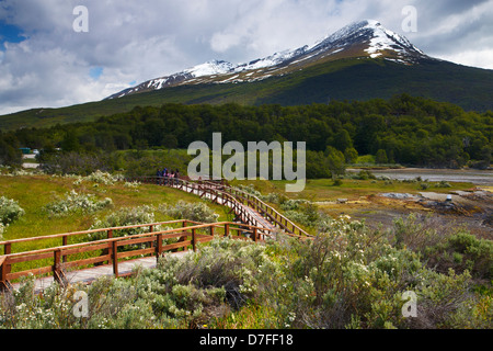 Tierra del Fuego National Park, Ushuaia, Argentina. Stock Photo