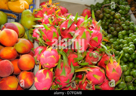 Miami Florida,Homestead,US highway Route 1,Redlands Farmers Market,shopping shopper shoppers shop shops markets marketplace buying selling,retail stor Stock Photo