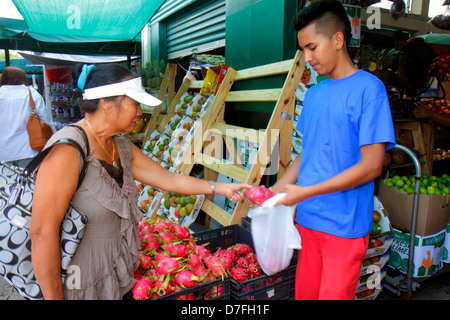 Miami Florida,Homestead,US highway Route,Redlands Farmers Market,shopping shopper shoppers shop shops women working retail store stores business,produ Stock Photo