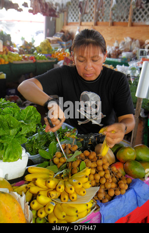 Miami Florida,Homestead,US highway Route 1,Redlands Farmers Market,shopping shopper shoppers shop shops market markets marketplace buying selling,reta Stock Photo