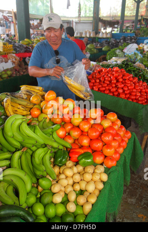 Miami Florida,Homestead,US highway Route,Redlands Farmers market,shopping shoppers shop shops buying selling,store stores business businesses,produce Stock Photo