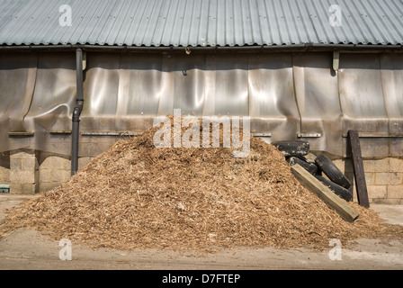 horse manure pile in english farmyard stable Stock Photo