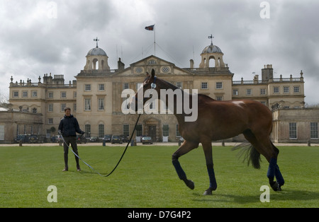 Badminton Horse Trials UK. Badminton House, competitor exercises training his horse using a lunge line in right hand and whip in left in front of the Badminton House. Badminton Estate, Gloucestershire England  4th May 2013 2010s HOMER SYKES Stock Photo