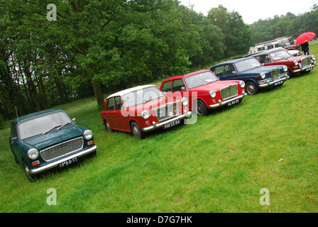 Line up of Classic BMC cars at Dutch Classic Car show Stock Photo