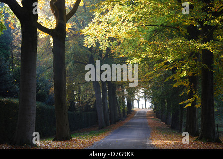 country road near Hillenraad Castle Roermond Limburg Netherlands Stock Photo