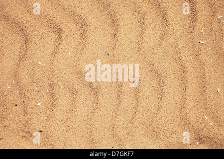 texture of dry beach sand with wavy patterns Stock Photo
