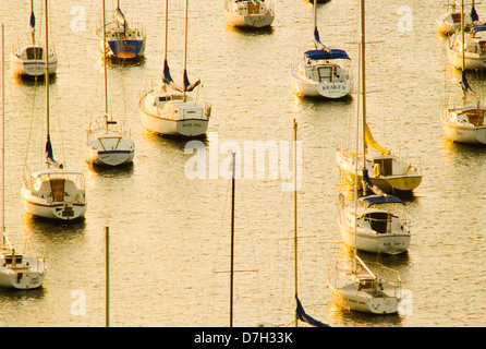 Sailboats at anchor, Biscayne Bay, Miami, Florida Stock Photo