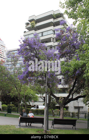 Santiago de Chile Metropolitana nahe edificio don Carlos Stock Photo