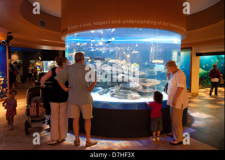 Two Oceans Aquarium, Cape Town, Western Cape, South Africa ...