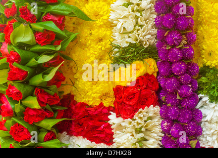 Garland of multiple colors of flower Stock Photo