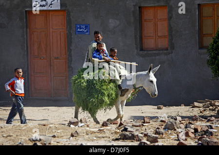 MAN & CHILDREN ON WHITE DONKEY NEAR ASWAN EGYPT 11 January 2013 Stock Photo