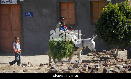 MAN & CHILDREN ON WHITE DONKEY NEAR ASWAN EGYPT 11 January 2013 Stock Photo