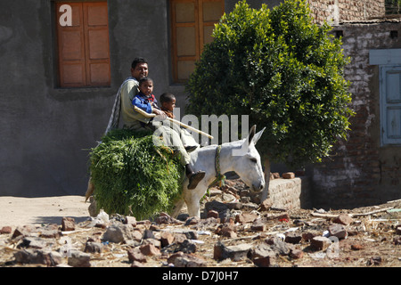 MAN & CHILDREN ON WHITE DONKEY NEAR ASWAN EGYPT 11 January 2013 Stock Photo