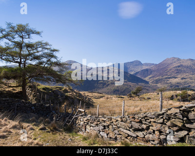 Stone wall in Snowdonia National Park with distant view to Snowdon across Nant Gwynant valley. Gwynedd, North Wales, UK Stock Photo