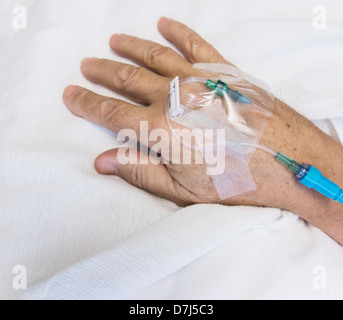 Close up of hand of elderly patient with IV drip attached Stock Photo