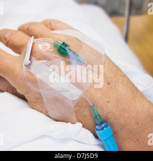 Close up of hand of elderly patient with IV drip attached Stock Photo