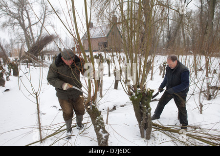 volunteers at a willow shack in national park de biesbosch in holland Stock Photo