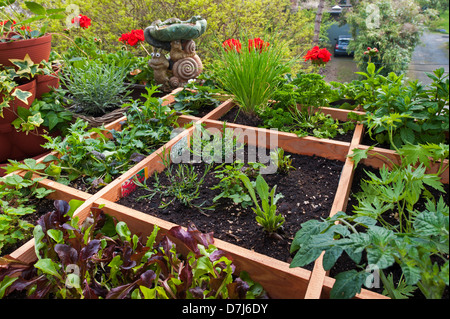 Square foot gardening by planting flowers, herbs and vegetables in wooden box on balcony Stock Photo